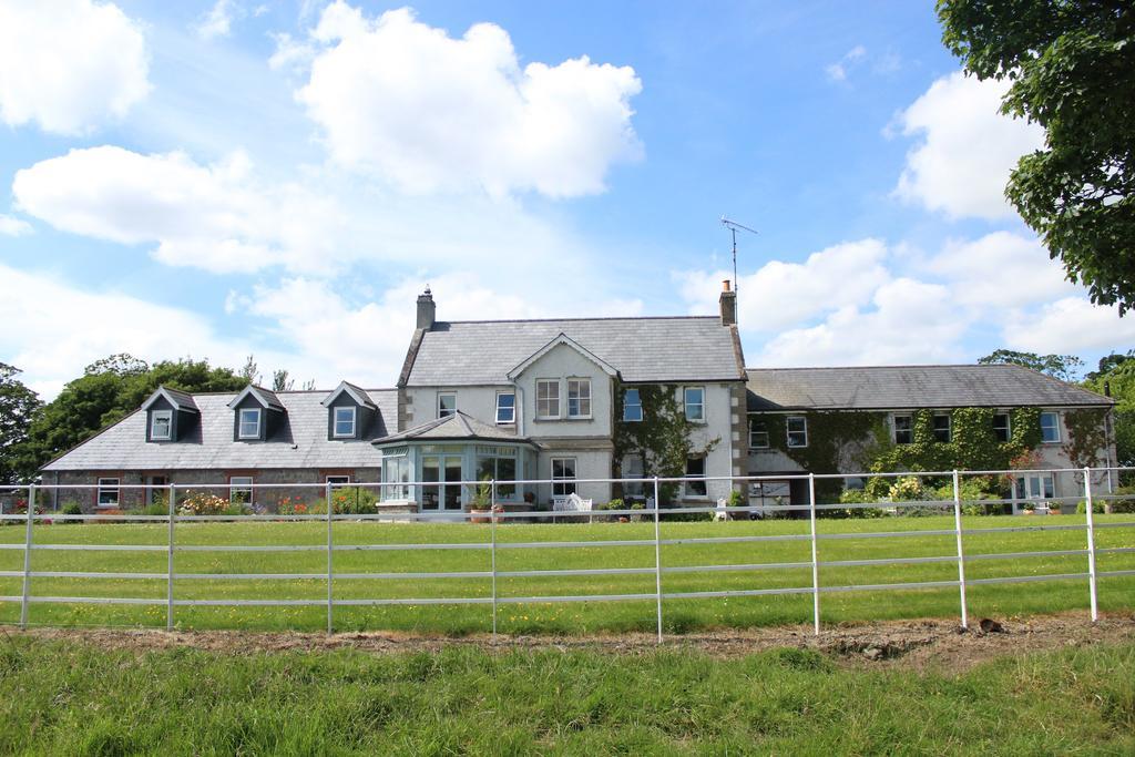 Boyne View House Hotel Трим Екстериор снимка